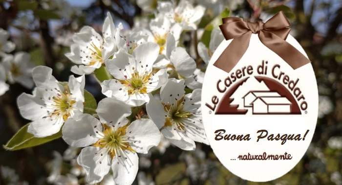 Buona Pasqua ... naturalmente!